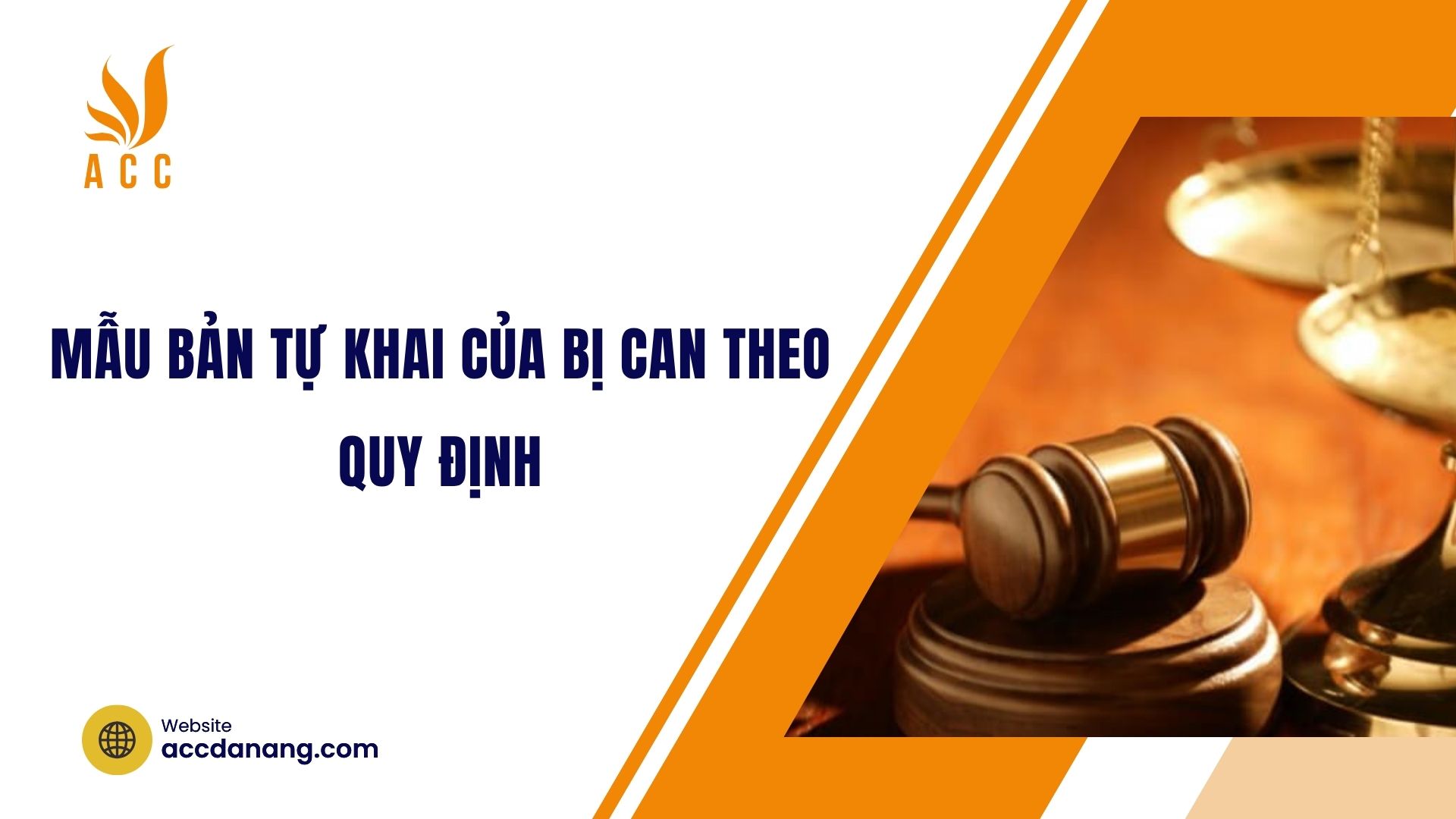 Mẫu bản tự khai của bị can theo quy định