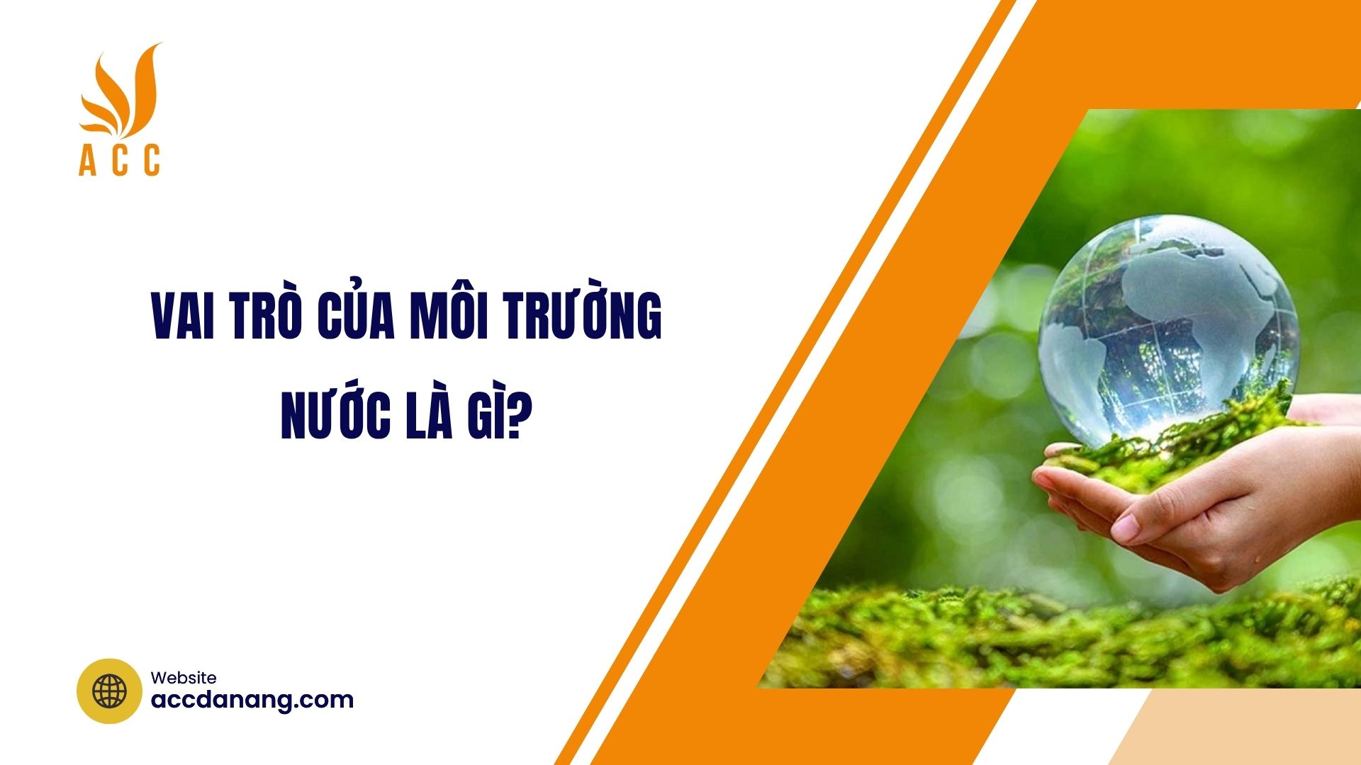 Vai trò của môi trường nước là gì?