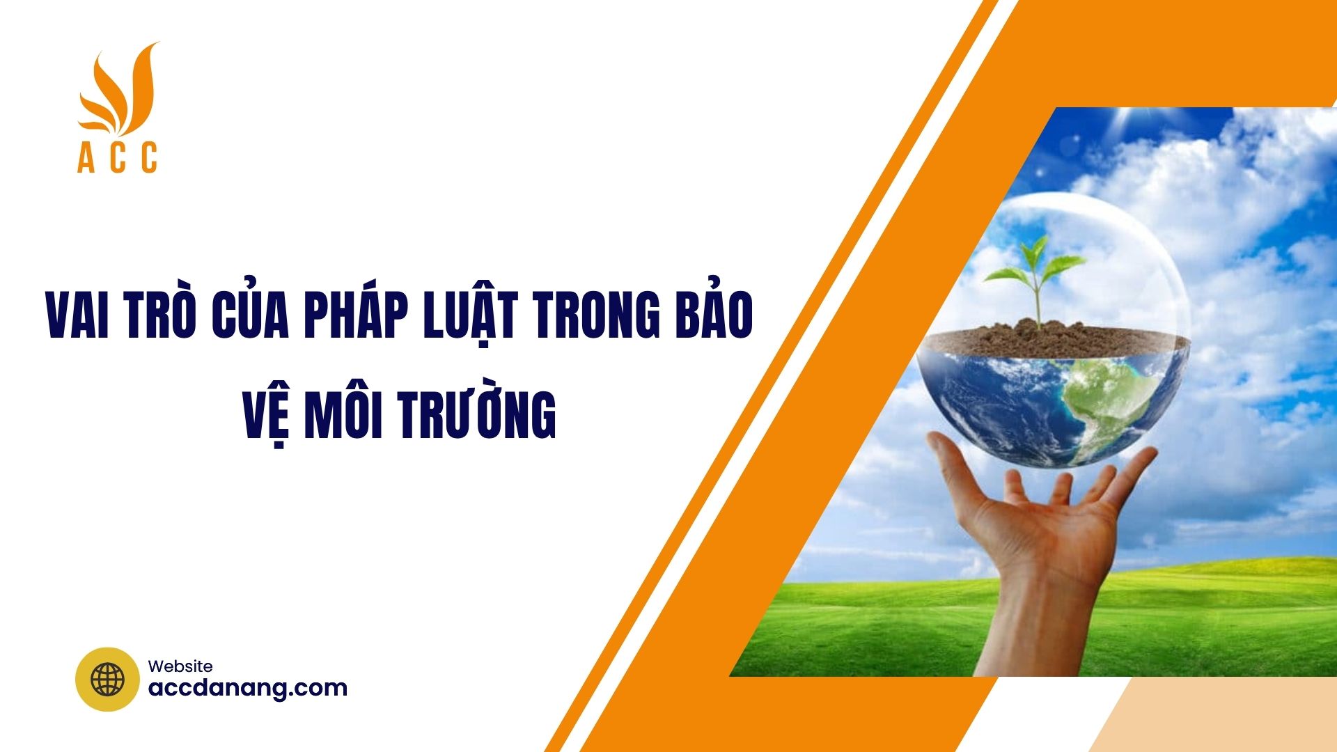 Vai trò của pháp luật trong bảo vệ môi trường