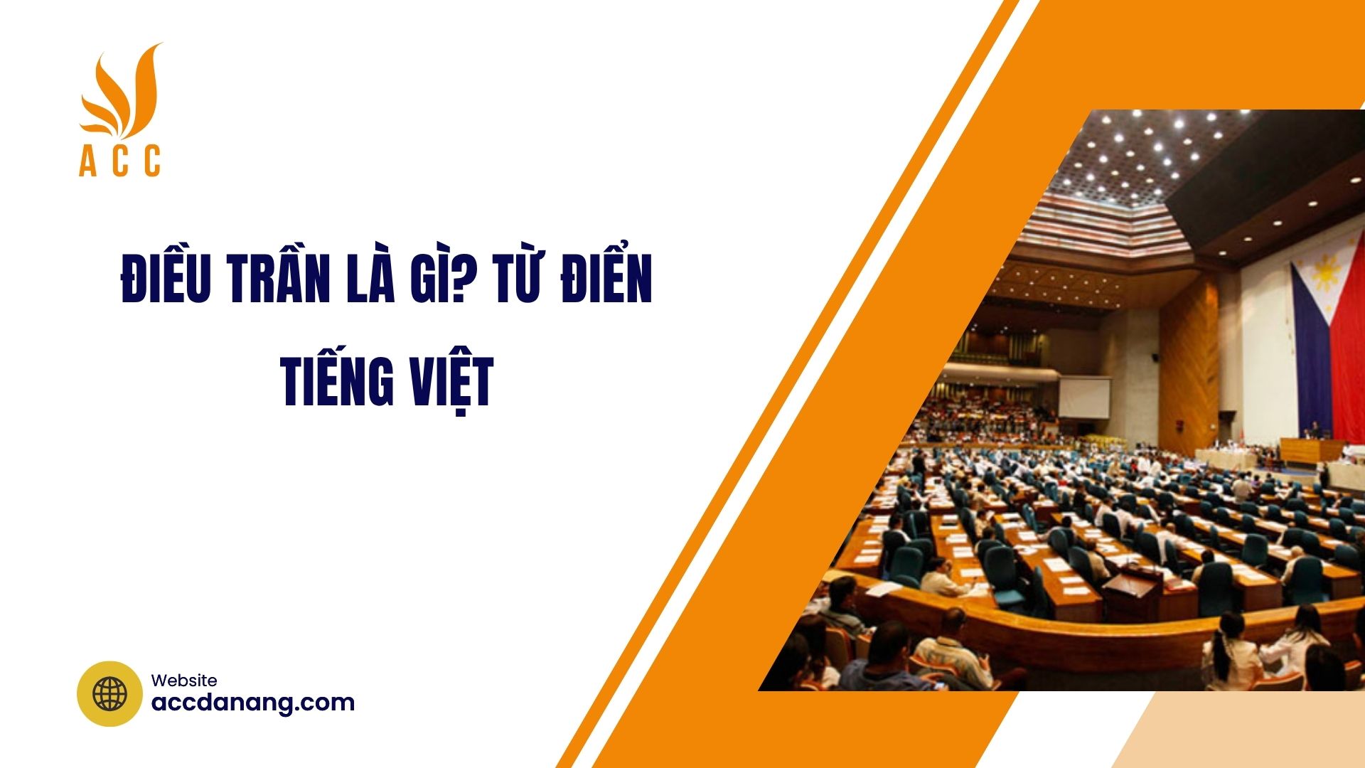 Điều trần là gì? Từ điển tiếng Việt
