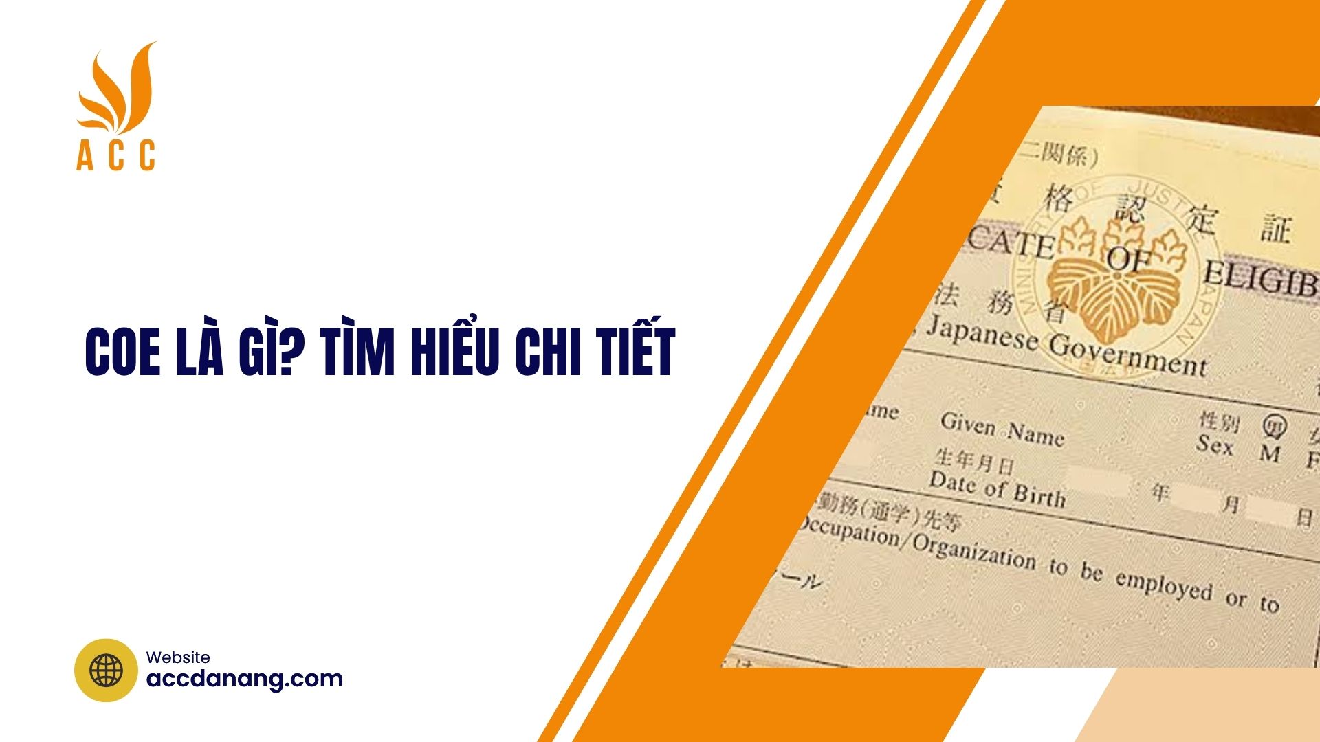 COE là gì? Tìm hiểu chi tiết