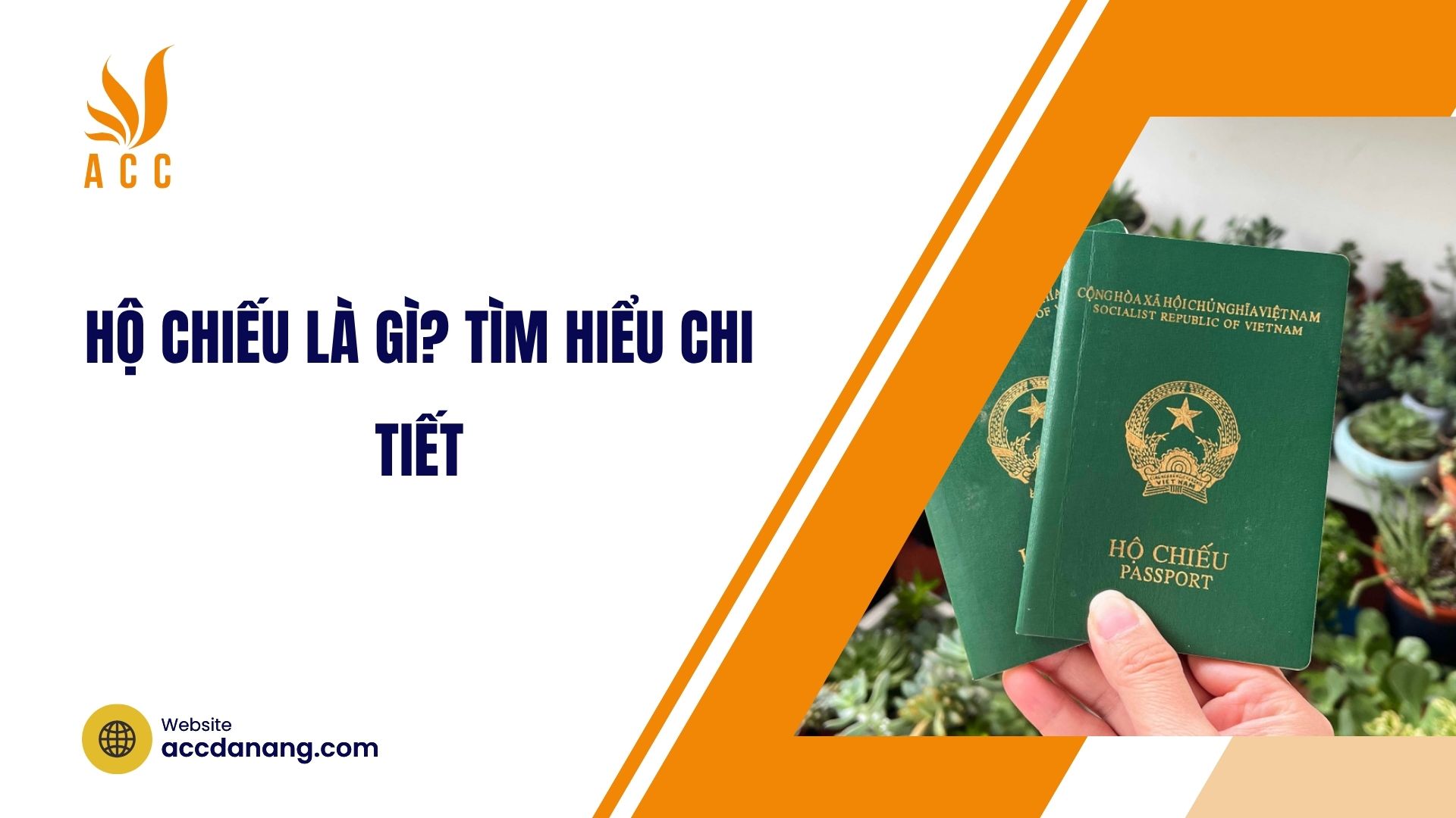 Hộ chiếu là gì​? Tìm hiểu chi tiết
