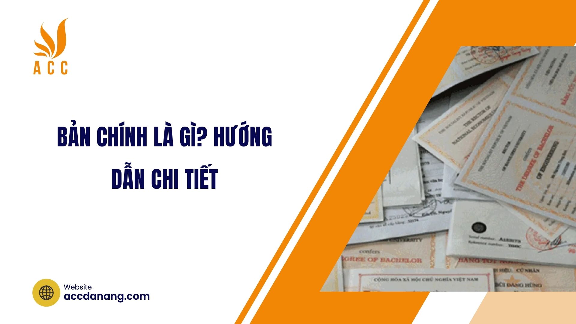 Bản chính là gì? Hướng dẫn chi tiết