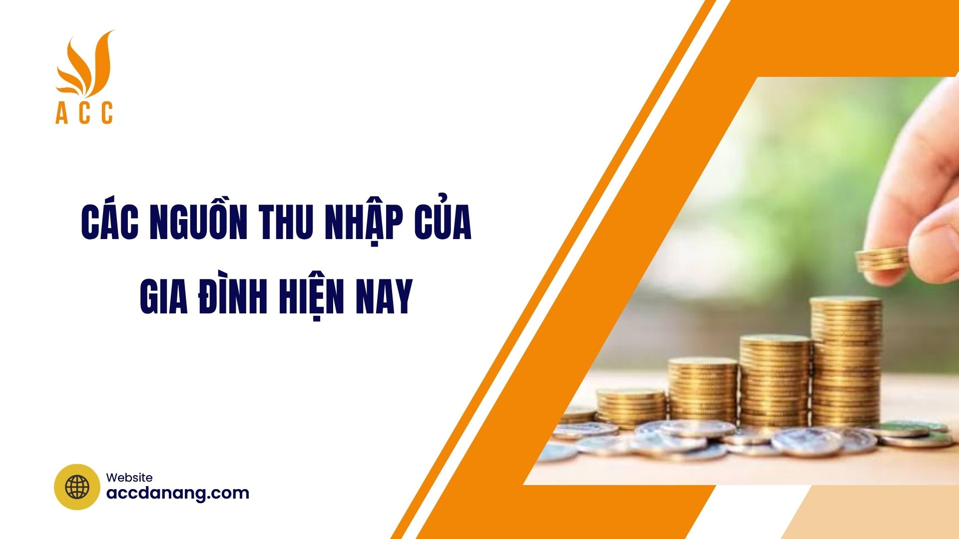 Các nguồn thu nhập của gia đình hiện nay